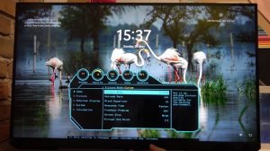 How To Change Screen Size on Samsung Odyssey G3?