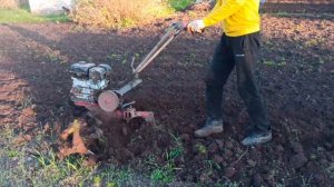 настоящая качественная вспашка мотоблоком мкм 3 с большими фрезами