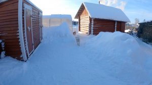 Жизнь в деревне Зима лайки дача мангал