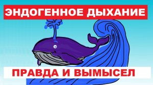 Дыхание на тренажере Фролова ТДИ-01.Эндогенное дыхание - правда и вымысле