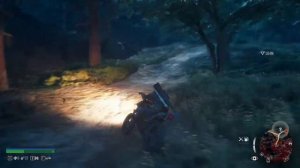 Days Gone [PC] Прохождение #9