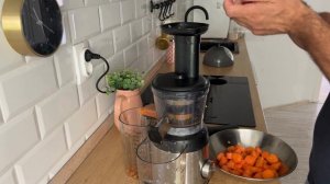 МЕДЛЕННАЯ СОКОВЫЖИМАЛКА SILVERCREST SSJ 300 РОССИЯ РУССКИЙ ЯЗЫК  LIDL