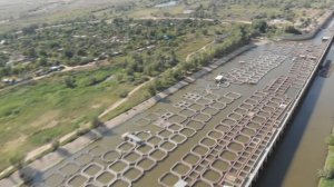 ГОРОД НАРИМАНОВ С ВЫСОТЫ ПТИЧЬЕГО ПОЛЕТА/ Астраханская область съемка с дрона