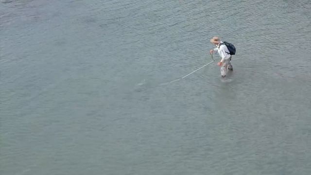 Hunting Octopus with spearing Stingray Catch and Cook ( ikan pari ) EP.408 смотреть онлайн