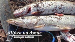 Щука на джиг. Трудовой поход за хищником.
