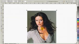 коллаж в corel