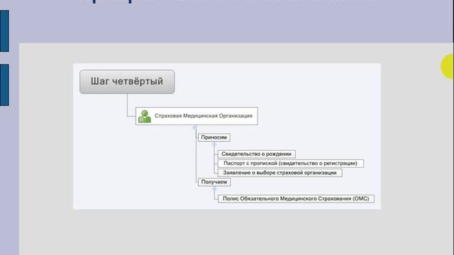 Как прикрепить новорождённого к детской поликлинике?