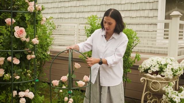 Как сформировать красивые кусты ! Шпалеры для вьющихся растений
