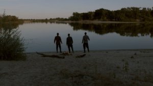 Любо мне, когда Дон разливается сл и муз. Сергея Матвеева