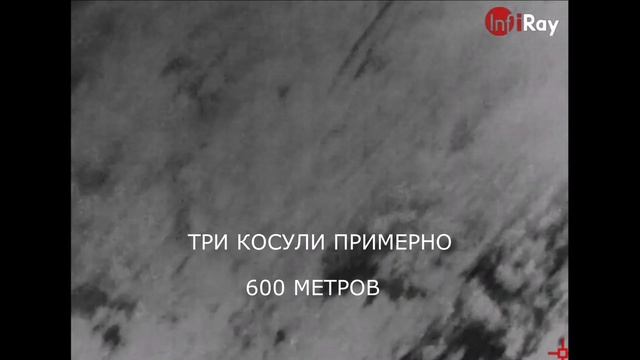 САМЫЙ МАЛЕНЬКИЙ ТЕПЛОВИЗОР InfiRay T2 Pro ОХОТА НА КОСУЛЮ смотреть онлайн