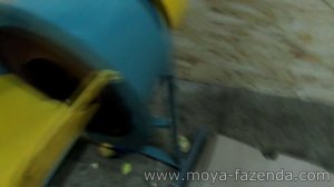Измельчитель яблок на сушку