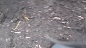 Самодельная универсальная овощная сажалка. Показываем в работе.