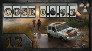 Сталкер OGS Evolution (OGSE 0.6.9.3) # 12. Черный сталкер.