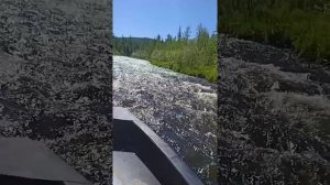 лодка ПНД водомёт suzuki dt30