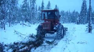 Трактор Т-16 в лесу