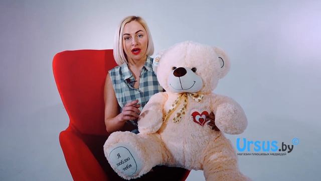 Купить мягкого медведя в Минске! смотреть онлайн
