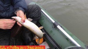 ЗАКРЫВАЕМ СЕЗОН ЖИДКОЙ ВОДЫ 7 НОЯБРЯ,ОЧЕНЬ ХОЛОДНО,ЛОВИМ С ЛОДКИ В ОТВЕС ЩУКУ И СУДАКА