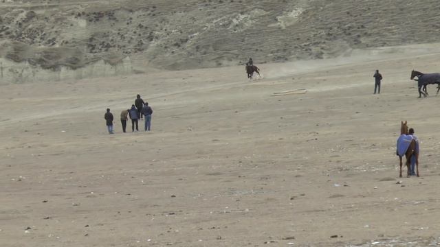 Скачки в с. Зило. "ГарацулЪол" .23.03.2019 смотреть онлайн