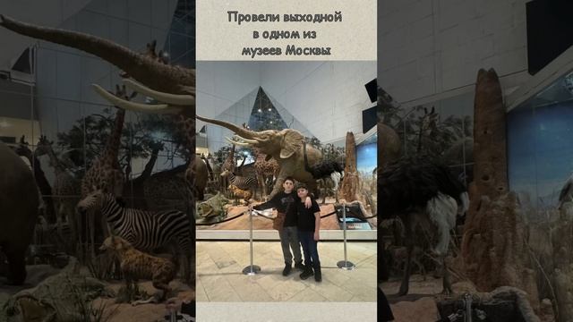 Выходной в музее