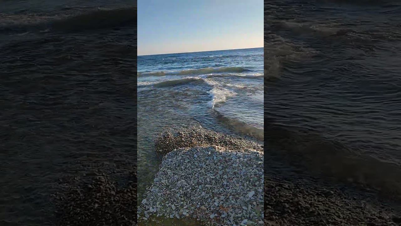 Река торопится в море. 25.02.24 г