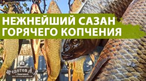 Сазан горячего и холодного копчения в коптильне ИП Федотов А. В. на ольхе.