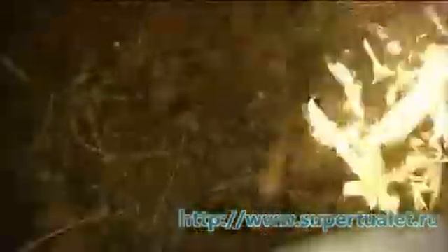 Садовые Компостеры смотреть онлайн