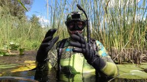 Подводная охота Это мог быть хороший трофей