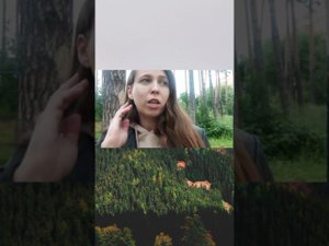 Оставайтесь с психопатом ради детей?