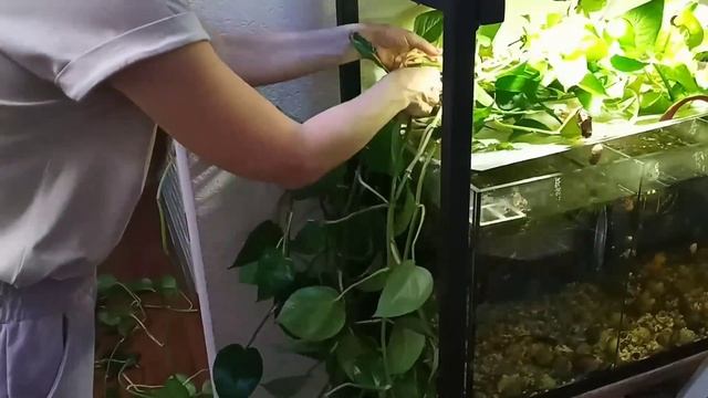 Мне часто делают это замечание под такими видео смотреть онлайн