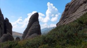 Таинственное очарование природы:  о Западно-Алтайском заповеднике