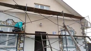 Покраска фасада после короеда