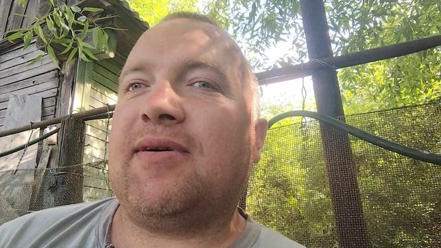 История моей деревни