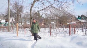 Омолаживающая обрезка старой яблони. 2 этап.