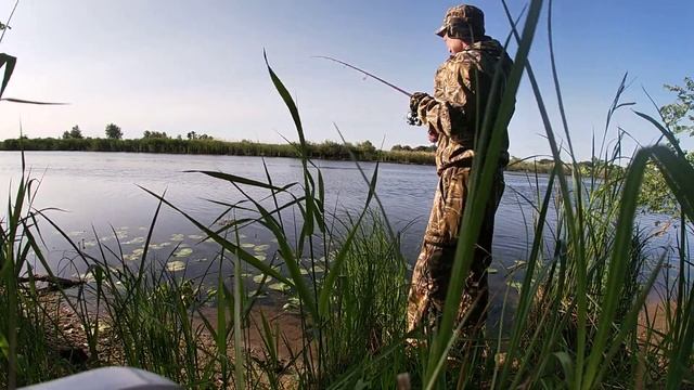 Тэйл-спиннер Hurricane. Здаровенный окунь. Такого бонуса я не ждал..f137Тэйл-спиннер Hurricane. Здар смотреть онлайн