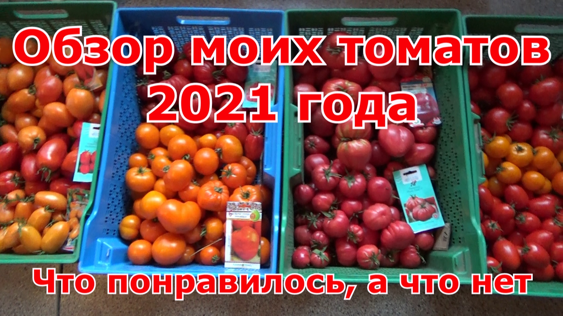 Помидоры которые возьму в 2022 г_Обзор сортов и гибридов томатов 2021 в теплицах и открытом грунте