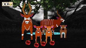 The Bongo family was brave. 1~2ㅣcartoon version, animals stories for kidsㅣCoCosToy