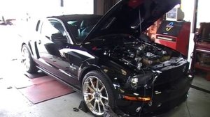 Shelby GT500 Super Snake Dyno Pull 704rwhp