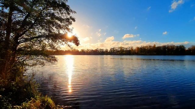 Neelix, Ghost Rider, The Gardener & The Tree Wonders (Vechtesee Timelapse ) #nordhorn #timelapse смотреть онлайн