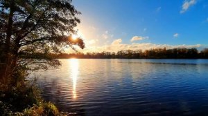 Neelix, Ghost Rider, The Gardener & The Tree   Wonders (Vechtesee Timelapse ) #nordhorn #timelapse