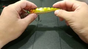 Видеообзор Pontoon 21 Greedy-Guts 111SP-MDR по заказу Fmagazin