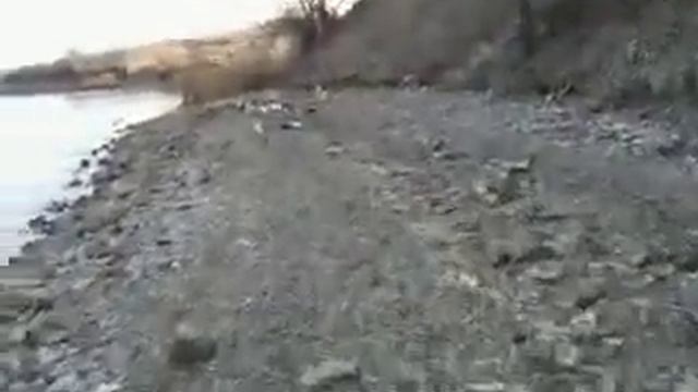 Рыбалка на Старобешево