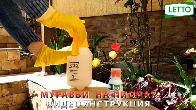 Муравьи на пионах - видеоинструкция: лепидоцид