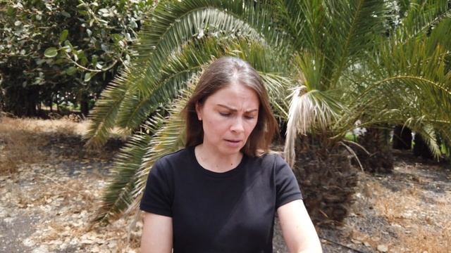 Аренда на Тенерифе. Запреты, разрешения, лицензия - что нужно знать прежде чем купить недвижимость