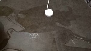 Neptun датчик контроля протечки воды sw005
