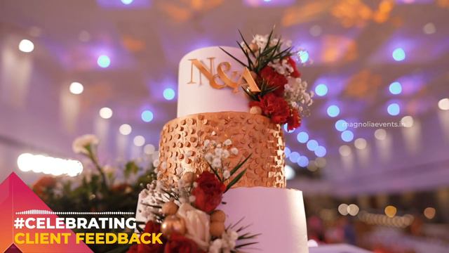 OUR HAPPY CLIENT | WEDDING FEEDBACK VIDEO | MAGNOLIA INTERACTIVE смотреть онлайн