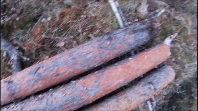 День 1. Серия 2. Выбор места для строительства. Заготовка материала для основания. смотреть онлайн