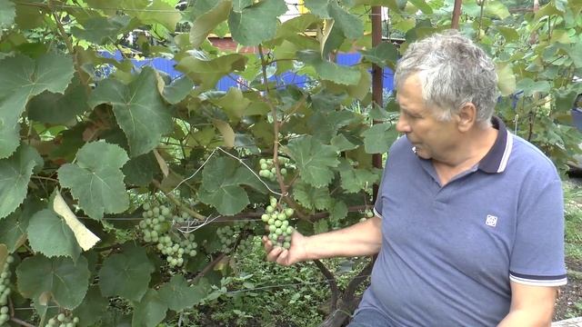 Садовый участок Александра Халимана в г. Уссурийск