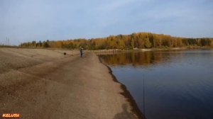 Ловля подлещика на фидер. Рыбалка на плотине фидером.