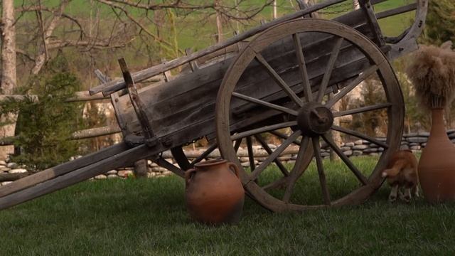 Spring 2023 - Stinging Nettle: Harvesting and Cooking смотреть онлайн