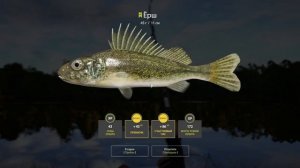 Русская рыбалка 4 - озеро Комариное - Ёрш у разбитого мосточка